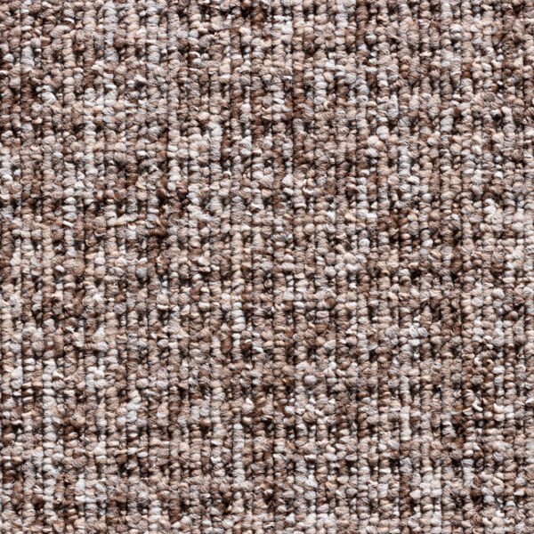 Oregon loop's Carpets